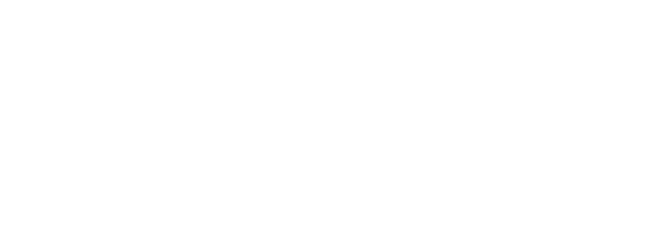 ARTISAN™