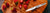 {{ hero_image.alt | default: collection.title | escape }}